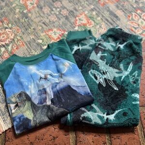 Dinosaur Print Pajama Set Wonder Nation Fleece Bottoms